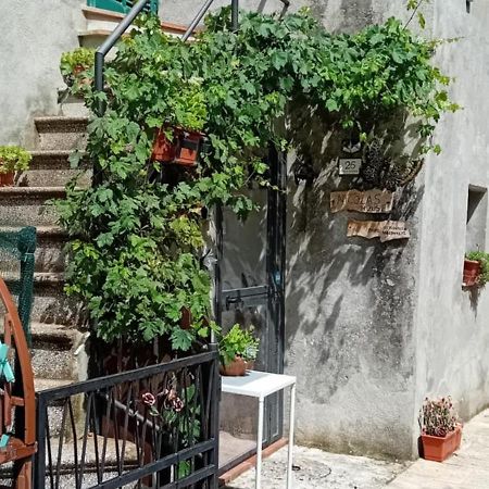 Nicolas House Campiglia dʼOrcia 外观 照片