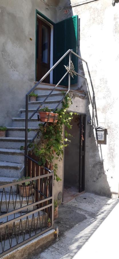 Nicolas House Campiglia dʼOrcia 外观 照片